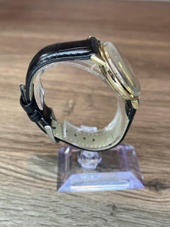 Omega Seamaster DeVille 166.020 Stardust Dial 1971